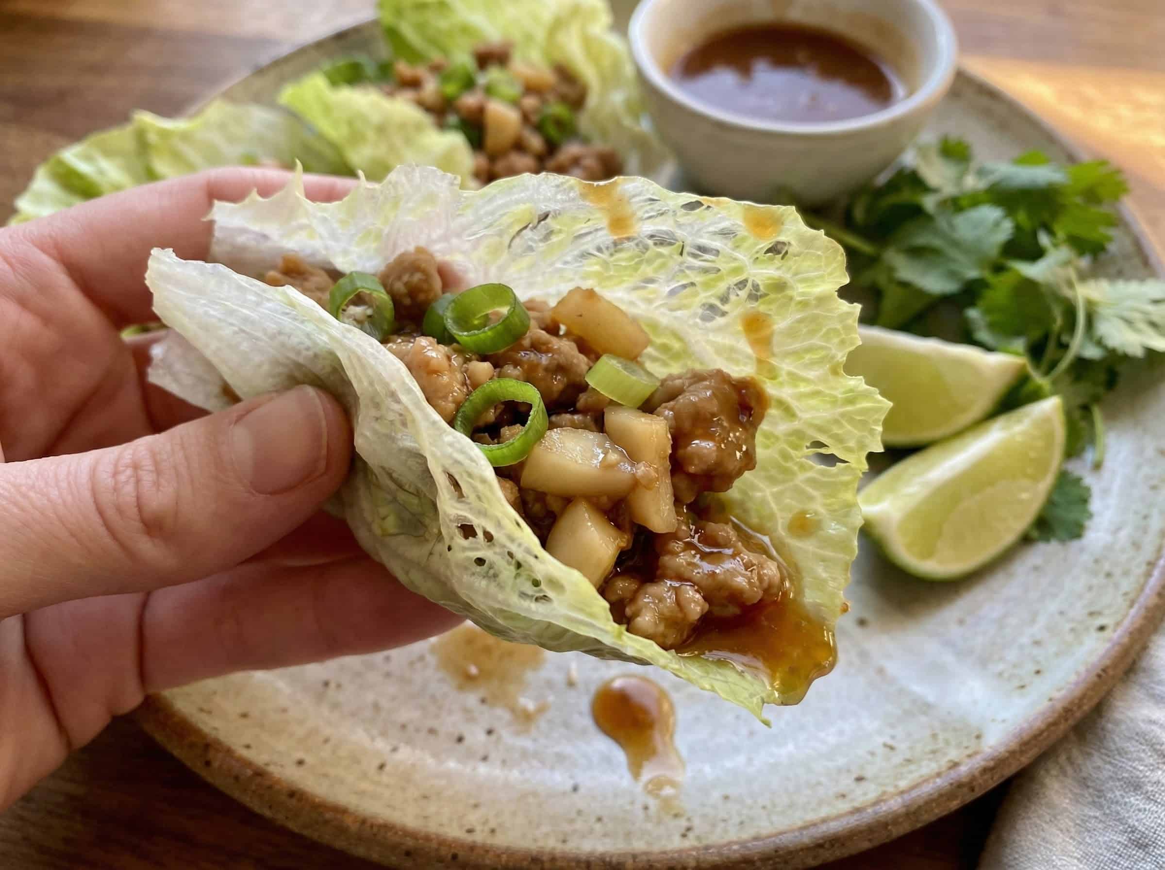 Asian Turkey Lettuce Wraps 2 7